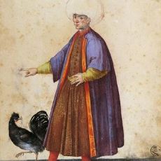 Osmanlı Döneminde Tavukçuluk Nasıldı?