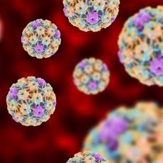 Cinsel İlişkiyle Bulaşan ve Anlaşılması Çok Güç Bir Virüs: İnsan Papilloma Virüsü