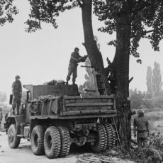 Amerika ve Kuzey Kore'yi Savaşın Eşiğine Getiren Ağaç Budama Olayı