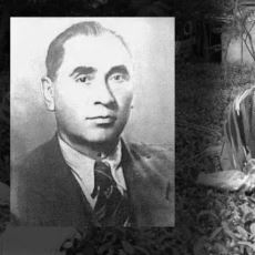 Tropikal İklimde Yetişen Çay Nasıl Oldu da Türkiye'de Üretilmeye Başladı?