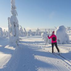 Finalndiya'daki Kayak Etkinliğinde Görev Alan Bir Sözlük Yazarının Medeniyet Sorgulatan Anısı