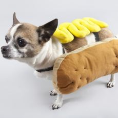 Sosisli Sandviçe Neden Hot Dog (Sıcak Köpek) Deniyor?