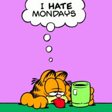 Garfield'ın, Nefret Edilesi Özelliklerini En Tatlı Şekilde İfade Ettiği Mini Monologlar