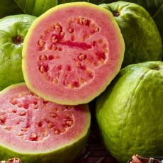 Faydaları Saymakla Bitmeyen Lezzetli Bir Tropik Meyve: Guava