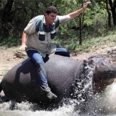 Bebekken Sahiplendiği Su Aygırı Tarafından Canlı Canlı Yenen Marius Els'in Üzücü Öyküsü