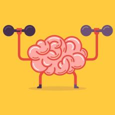 Beynin, Bir Şeyler Öğrendiğinde Fiziksel Olarak Harbiden de Değiştiği Gerçeği