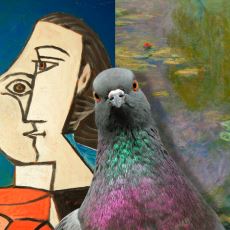 Güvercinler Birbirinden Farklı Ressamların Eserini Ayırt Edebiliyor mu?