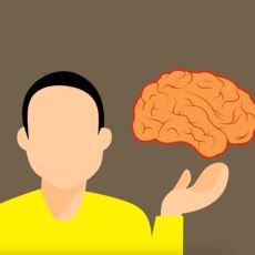 Karar Almada Beyin mi Yoksa Kalp mi Daha Etkili?