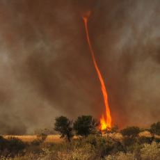 50 Metre Yüksekliklere Ulaşabilen Etkileyici ve Nadir Bir Doğa Olayı: Ateş Girdabı