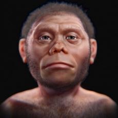 200 Bin Yıl Önce Çin'de Yaşayan, Yeni Keşfedilen İnsan Türü: Homo Juluensis