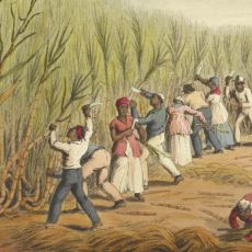 Dünyayı Değiştiren Tatlı Taş: Şekerin 8000 Yıllık Tarihi Yolculuğu