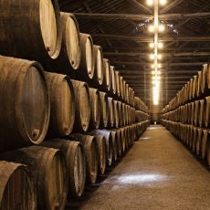 Şarap Yıllandırmada Kullanılan Meşe Fıçılar Hakkında Merak Edilenler