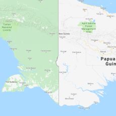 Endonezya ve Papua Yeni Gine'nin Kusursuz Sınırındaki Çıkıntının Sebebi Nedir?