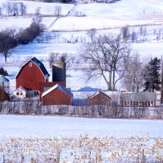 Kışlarının Uzun ve Soğuk Geçmesiyle Bilinen Alkol Sever ABD Eyaleti: Wisconsin