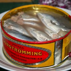 Dünyanın En Kötü Kokan Şeyi Olarak Anılan İsveç Yemeği: Surströmming