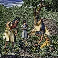 Amerika'da Binlerce Yıl Boyunca Ekin Yetiştirilmesini Sağlayan Tarım Yöntemi: 3 Kız Kardeş
