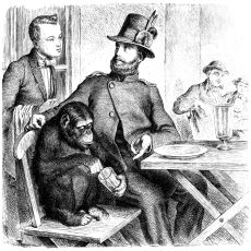 Primat ile Modern İnsan Arasındaki Ara Tür Tam Olarak Nedir ve Nerede Yaşamıştır?