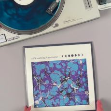 Indie ve Dream Pop Severlerin Hep Başucunda Duran Wild Nothing Albümü: Nocturne