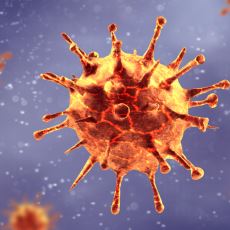 Koronavirüsün Karton ve Çelik Gibi Çeşitli Yüzeylerde Kalma Süresi