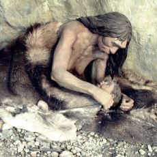 Neandertallerin Bugünkü Modern İnsandan Çok Daha Farklı Olan Anatomik Yapıları