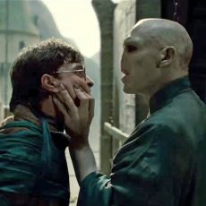 Harry Potter ve Voldemort'un Seri Boyunca Pek Fark Edilmeyen Ortak Noktaları