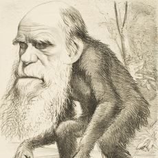 Evrimi Sinirsel Açıdan İnceleyerek Bilincin Ortaya Çıkışını İnceleyen Teori: Neural Darwinism 