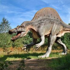 Tam 150 Milyon Yıl Dünya'ya Hükmeden Dinozorlar Kaç Yıl Yaşıyordu? 