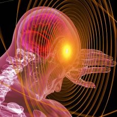 Beynimiz Nasıl Düşünür?