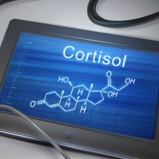 Kortizol Hormonu ve Vücut Geliştirme Arasındaki Pek Bilinmeyen Şaşırtıcı İlişki