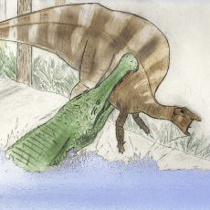 Eski Zamanlarda Dinozorları Bile Yiyen Devasa Bir Timsah Türü: Sarcosuchus Imperator