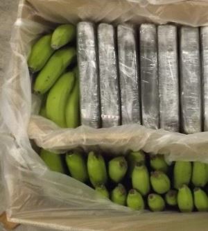 Kaçakçılar Neden Kokaini Genelde Muz Kolilerinin İçine Saklıyor?