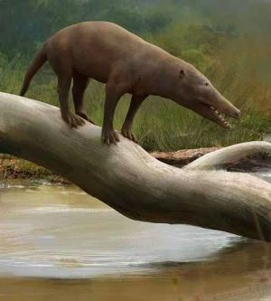 Balinaların 50 Milyon Yıl Önce Karada Yaşayan ve Geyiğe Daha Çok Benzeyen Ataları