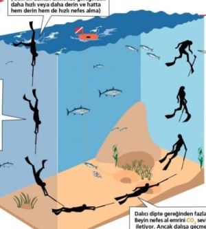 Her Yıl Binlerce Kişinin Ölümüne Neden Olan Olay: Sığ Su Bayılması