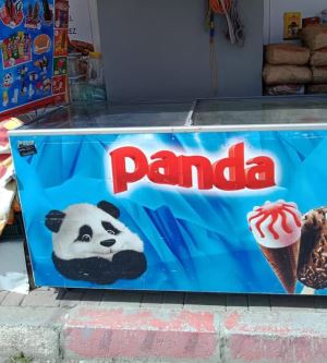 Paketli Dondurma Kavramını Türkiye'ye Getiren Panda Dondurma Neden Bugün Yok?
