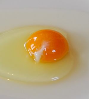 Yumurtayı Kırınca Çıkan Beyaz İpliksi Şey Aslında Ne?