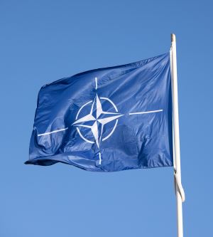 Nato Kafa Nato Mermer Deyimi, Bildiğimiz NATO'dan mı Geliyor?