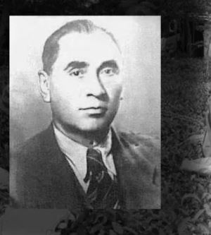 Tropikal İklimde Yetişen Çay Nasıl Oldu da Türkiye'de Üretilmeye Başladı?