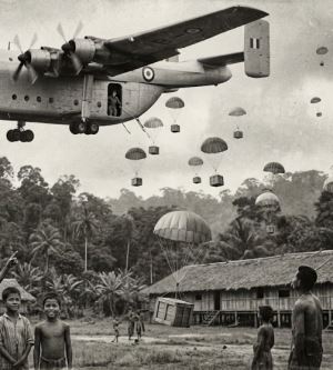 Operation Cat Drop: 1960'ta Borneo’ya Neden Gökyüzünden Paraşütle Kedi Atıldı?