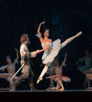 Bale Hakkında Yanlış Bilinenler ve Doğruları