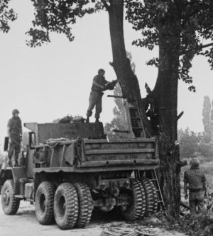 Amerika ve Kuzey Kore'yi Savaşın Eşiğine Getiren Ağaç Budama Olayı