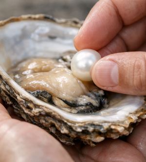 İstiridyeler Nasıl İnci Üretir?