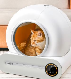 Otomatik Kedi Tuvaleti Kullanmaya Başlayan Bir Ekşi Sözlük Yazarının İzlenimleri