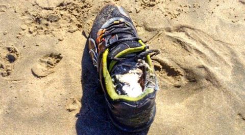 Salish Denizi'nde Kıyıya Vuran 20 Ayağın Tüyler Ürperten Hikayesi