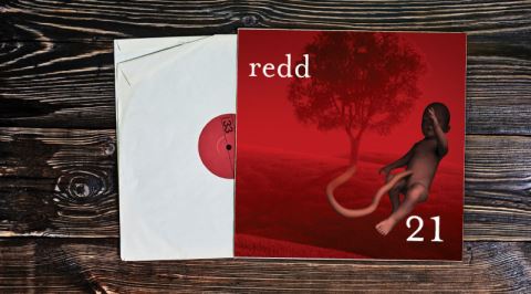 Redd'in Zamanında Ses Getiren Konsept Albümü 21'in Hikayesi ve Detaylı İncelemesi