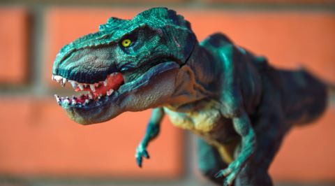 T-Rex Gibi Heybetli Bir Yaratığın Neden Vücuduna Oranla Minicik Kolları Vardı?