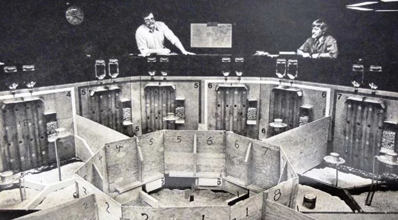 Sonsuz Konforun Karanlık Yüzünü Ortaya Koyan Sarsıcı Deney: Universe 25