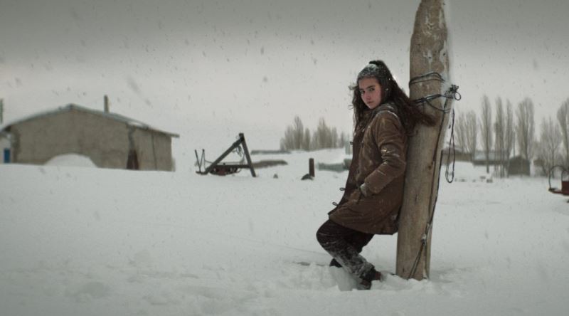 Kuru Otlar Üstüne, Tam Olarak Ne Üstüne Bir Film?