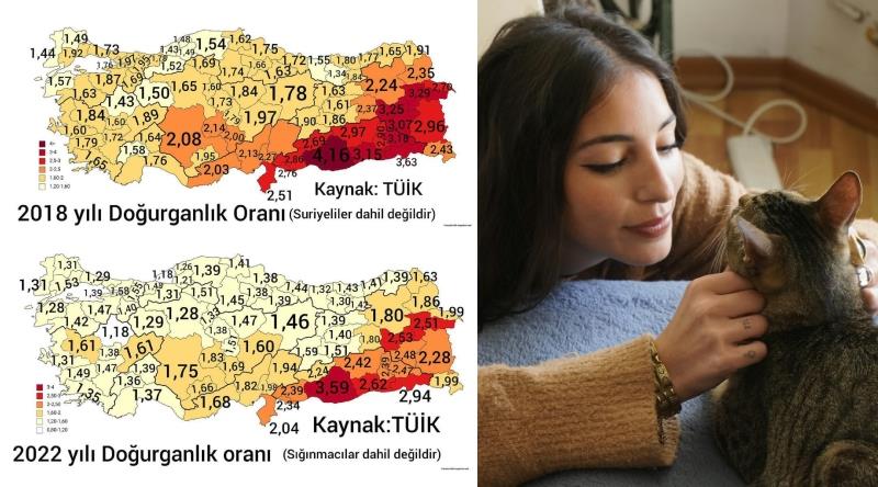 Çocuk Sahibi Olmayanlar Anlatıyor: Türkiye'de Doğurganlık Neden Gittikçe Düşüyor?