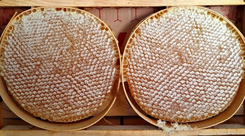 Hakkında Bolca Yanlış Bilinen Olan Karakovan Balı Tam Olarak Nedir?