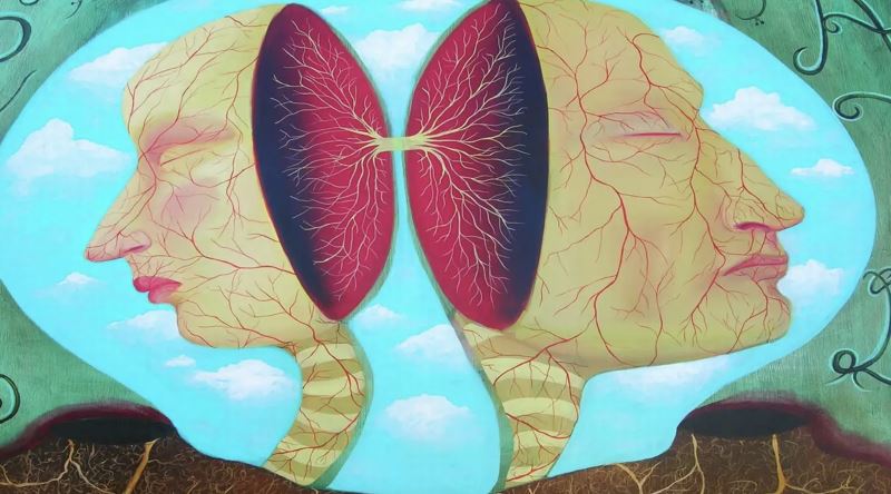 İnsanın Bildiklerini Temelden Sarsan Tıbbi Gerçeklik: Ayrık Beyin Deneyleri